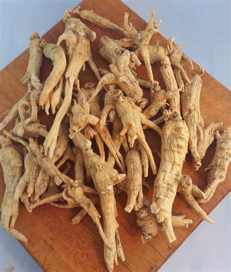 Prince of Peace Prince of Peace Wisconsin American Ginseng Roots (Mixed Size) in bulk, 16oz. SKU: AC-B16BK. $139.95. In stock. Prince of Peace Prince of Peace Wisconsin American Ginseng Medium Long Roots, 6oz. SKU: AC-B6-M. $66.95. In stock. Prince of Peace Prince of Peace American Ginseng Root Tea w/Honey, 60 tea bags.
